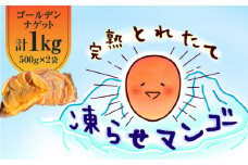 完熟とれたて凍らせマンゴー1kg（ゴールデンナゲット）　C063-002