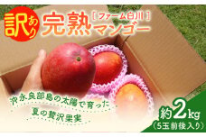 【2025年先行予約】ファーム白川の完熟マンゴー 訳あり2kg　C032-001