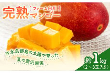 【2025年先行予約】ファーム白川の完熟マンゴー1kg　C032-002