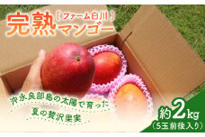 【2025年先行予約】ファーム白川の完熟マンゴー2kg　C032-003