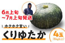 【2025年先行予約】春かぼちゃ（くりゆたか）4玉（6kg以上）　C062-003-02