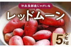 【2025年先行予約】沖永良部産じゃがいも『レッドムーン』小粒サイズ5kg　C065-002-01