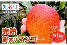 完熟訳ありマンゴー 約1kg（2玉～3玉入）　C005-012