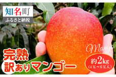 完熟訳ありマンゴー 約2kg（4玉～6玉入）　C005-017