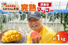 【2025年先行予約】えみちゃん農園の完熟マンゴー約1キロ（訳あり）　C008-007-01