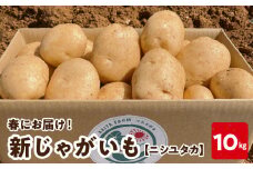 【2025年先行予約】新じゃがいも ニシユタカ 10kg 2月お届け　C056-005-01