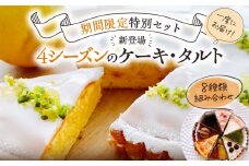 【年末までのお申し込み限定！】＜1月お届け＞4シーズンのアラカルトケーキ・タルト 8種類組み合わせ　C035-017-01