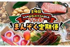 【全4回】ちなの幸！まんぞく定期便　C000-T2501