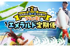 【全2回】ちなの幸！エメラルド定期便　C000-T2503