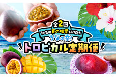【全2回】ちなの幸！トロピカル定期便　C000-T2502