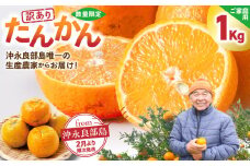 【2026年先行予約】＜ご家庭用＞訳あり たんかん 1kg（2026年2月より順次発送）　C071-001-01