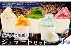 花火大会応援！島の人気店、島の特産品とパワーをジェラートに！島の特産品を活かしたフレーバー！ジェラート 5個セット　C073-001