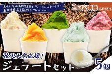 【全2回定期便】花火大会応援！島の人気店、島の特産品とパワーをジェラートに！島の特産品を活かしたフレーバー！ジェラート 5個セット　C073-T01