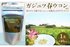 ガジュツ春ウコン（粒）1袋 （約40日分）