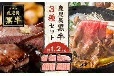 鹿児島黒牛サーロインステーキ（3枚）・すきやきしゃぶしゃぶセット【S-1801】