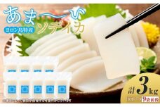 ヨロン島特産☆あま～いソデイカ 3kgセット
