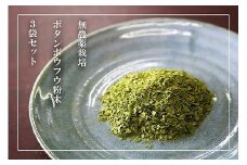 【無農薬栽培】ボタンボウフウ（長命草）粉末 3袋セット