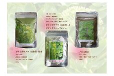 【無農薬栽培】「バジリコ粉末」「ボタンボウフウ（長命草）粉末」「ボタンボウフウと大崖石榴茶 （長命草とオオイタビハーブティー）」 3袋セット