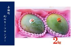 【2024年発送】幻のキーツマンゴー2.0kg （3～4個入り） ☆南国ヨロン島産【先行予約】