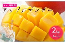 【2023年7月より発送】平均糖度13度以上！アップルマンゴー2kg（4~5玉）【先行予約】