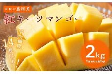 【2023年8月より発送】1玉で1kg前後！糖度14度！『紅』キーツマンゴー2kg（2玉）【先行予約】