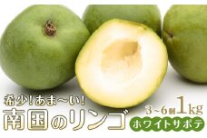 希少！あま～い南国のリンゴ【ホワイトサポテ】1kg（3～6個）