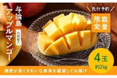 【数量限定】鹿児島 与論島アップルマンゴー特A秀品大玉４個約2kg化粧箱入り【先行予約】