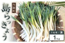【先行予約】島らっきょう☆1kg(皮処理済)与論の味をご家庭で(令和7年4月から順次発送)