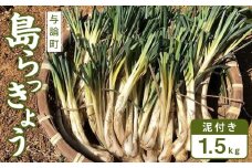 【先行予約】島らっきょう☆1.5kg(泥付)与論の味をご家庭で(令和7年4月から順次発送)