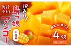 先行予約2025年●月以降発送【訳あり家庭用】ヨロン島産　島っ娘マンゴー 4キロ　10～15個　 糖度13度以上  白箱入り