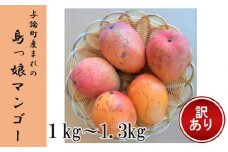 【訳あり家庭用】ヨロン島産島っ娘マンゴー 1kg～1.3kg　約3～4玉　白箱入り