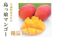 ※受付終了※★期間限定・数量限定★ 与論島産　島っ娘マンゴー（優品）1kg　2～3玉　糖度13度以上