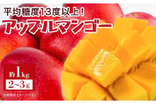 【2025年7月下旬より発送】【先行予約】平均糖度13度以上！アップルマンゴー約1kg（2~3玉）| 果物 フルーツ マンゴー アップルマンゴー 1kg 人気 おすすめ おすすめフルーツ 期間限定 鹿児島県 与論町