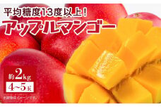 【2025年7月下旬より発送】【先行予約】平均糖度13度以上！アップルマンゴー約2kg（4~5玉）| 果物 フルーツ マンゴー アップルマンゴー 2kg 人気 おすすめ おすすめフルーツ 期間限定 鹿児島県 与論町