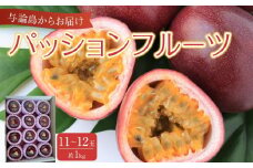 与論島産パッションフルーツ11玉～12玉　約1ｋｇ【先行予約：2025年6月中旬以降発送】| 果物 フルーツ パッションフルーツ 1kg 人気 おすすめ おすすめフルーツ 期間限定 鹿児島県 与論町
