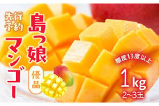 与論島産　島っ娘マンゴー（優品）1kg　2～3玉　糖度13度以上【先行予約：2025年7月上旬以降発送】| 果物 フルーツ マンゴー 1kg 人気 甘い おすすめ おすすめフルーツ 期間限定 鹿児島県 与論町