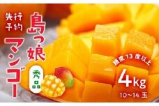 与論島産　島っ娘マンゴー（秀品）4kg　10～14玉入り　糖度13度以上【先行予約：2025年7月上旬以降発送】| 果物 フルーツ マンゴー 4kg 人気 甘い おすすめ おすすめフルーツ 期間限定 鹿児島県 与論町