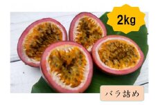 【2025年夏発送】パッションフルーツ (2kg24個入りバラ詰) 2025年6月～出荷開始 リリコイ 南国フルーツ デザート 人気 鹿児島県  与論町　