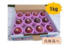 【2025年夏発送】パッションフルーツ (1kg12個入り化粧箱入) 2025年6月～出荷開始 リリコイ 南国フルーツ デザート 人気 鹿児島県  与論町　