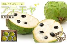 【先行予約】※数量限定　無農薬栽培　森のアイスクリーム　アテモヤ2kg～2.4kg（凡そ5玉～8玉）