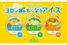 ヨロン島の木になるアイス(Aセット:リスボンレモン・イシカッタ・島バナナ)