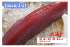 【泊漁港直送】沖縄美ら海まぐろ（皮付き）約5kg　※四つ割り発送（頭・尾無し）