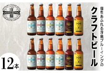 個性あふれる浮島ブルーイングのクラフトビール12本セット｜クラフトビール ビール お酒 沖縄 那覇