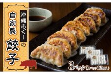沖縄あぐーの自家製餃子