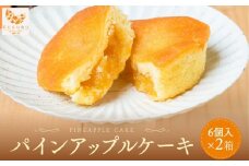 琉球パインアップルケーキ（6個入）2箱セット｜沖縄　那覇市　菓子 焼菓子 ケーキ パイン アップル スイーツ デザート 人気　パインアップルケーキ