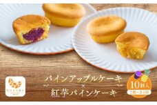 琉球 パインアップル×紅芋パイン 2種詰合せ(10個入)｜沖縄　那覇市　フルーツ 果物  人気 詰合せ パインアップル 紅芋 詰合せ