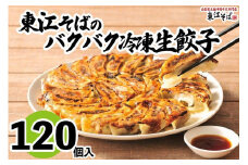 東江そばのバクバク冷凍生餃子　120個入