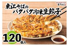 東江そばのバクバク冷凍生餃子　120個入｜沖縄　那覇市　餃子 冷凍 生餃子 惣菜 レトルト  人気　東江そば