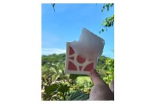 シルクさふんOKINAWA　花ブロック石けん（ピンク）1個