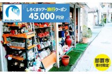 【那覇市】しろくまツアーで利用可能なWEB旅行クーポン（45,000円分）